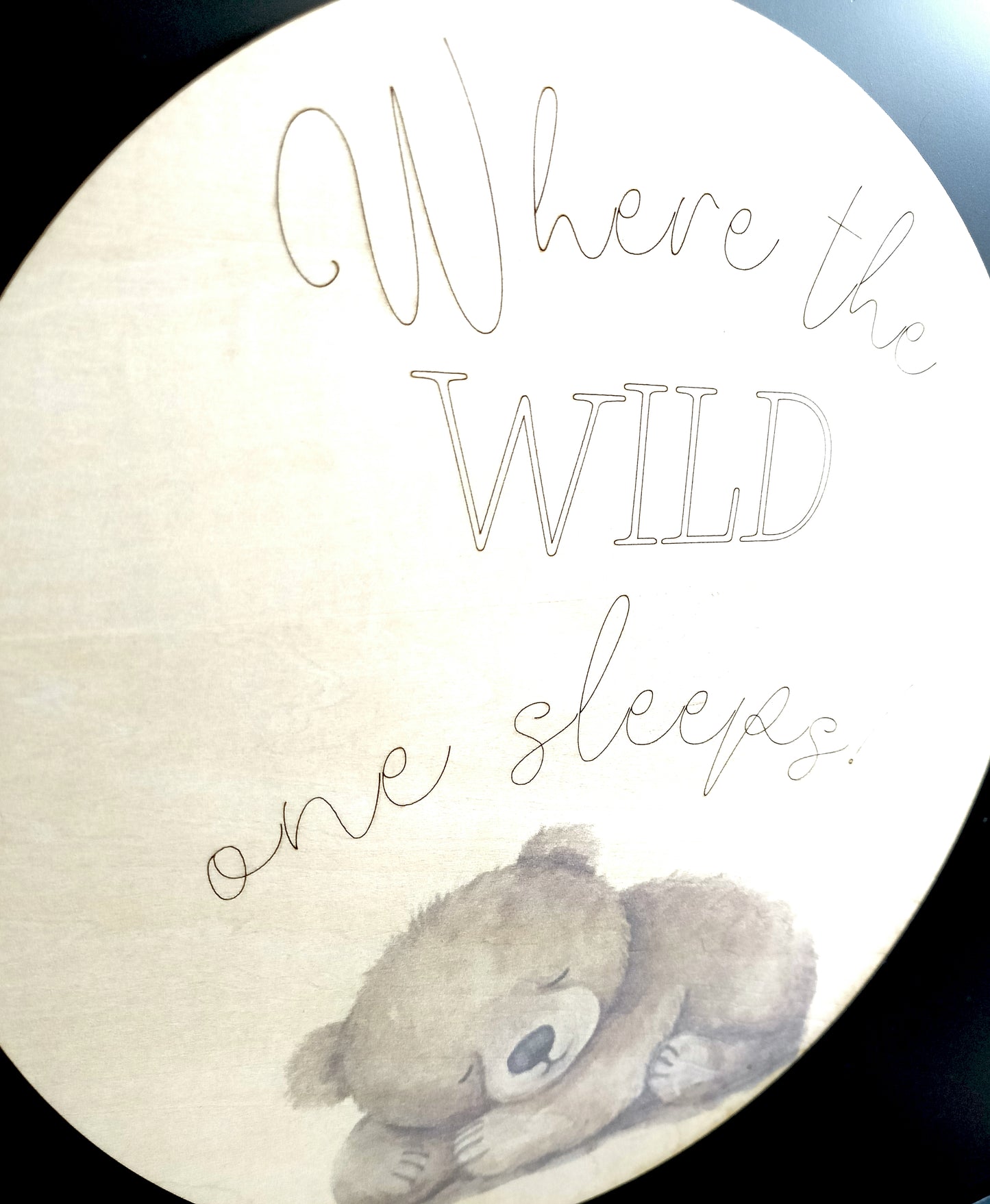 Sleeping bear wall plaque