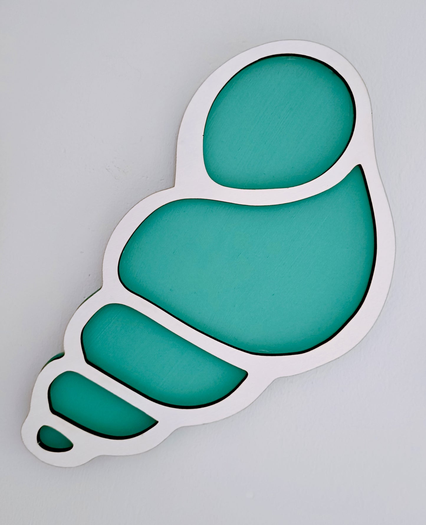 Bright Seashells - pack of 3