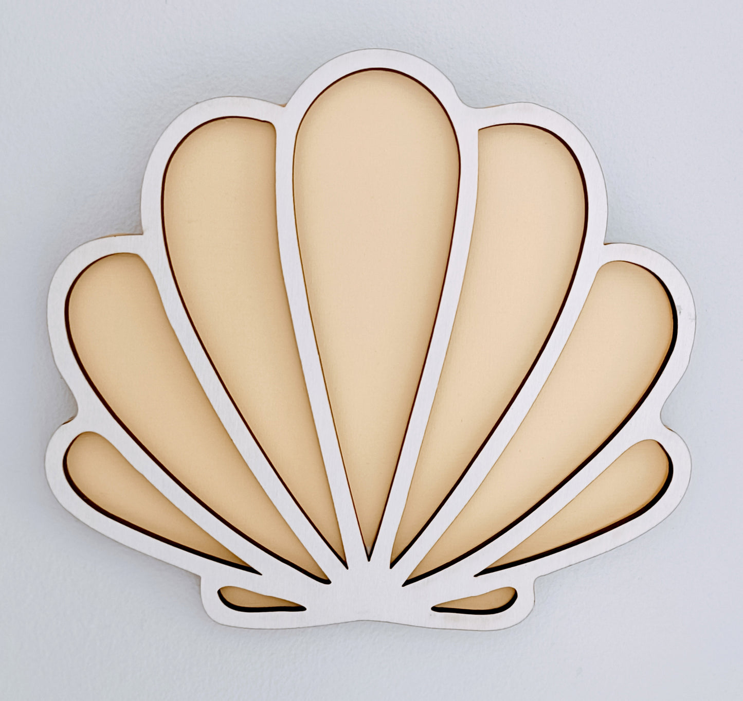 Bright Seashells - pack of 3