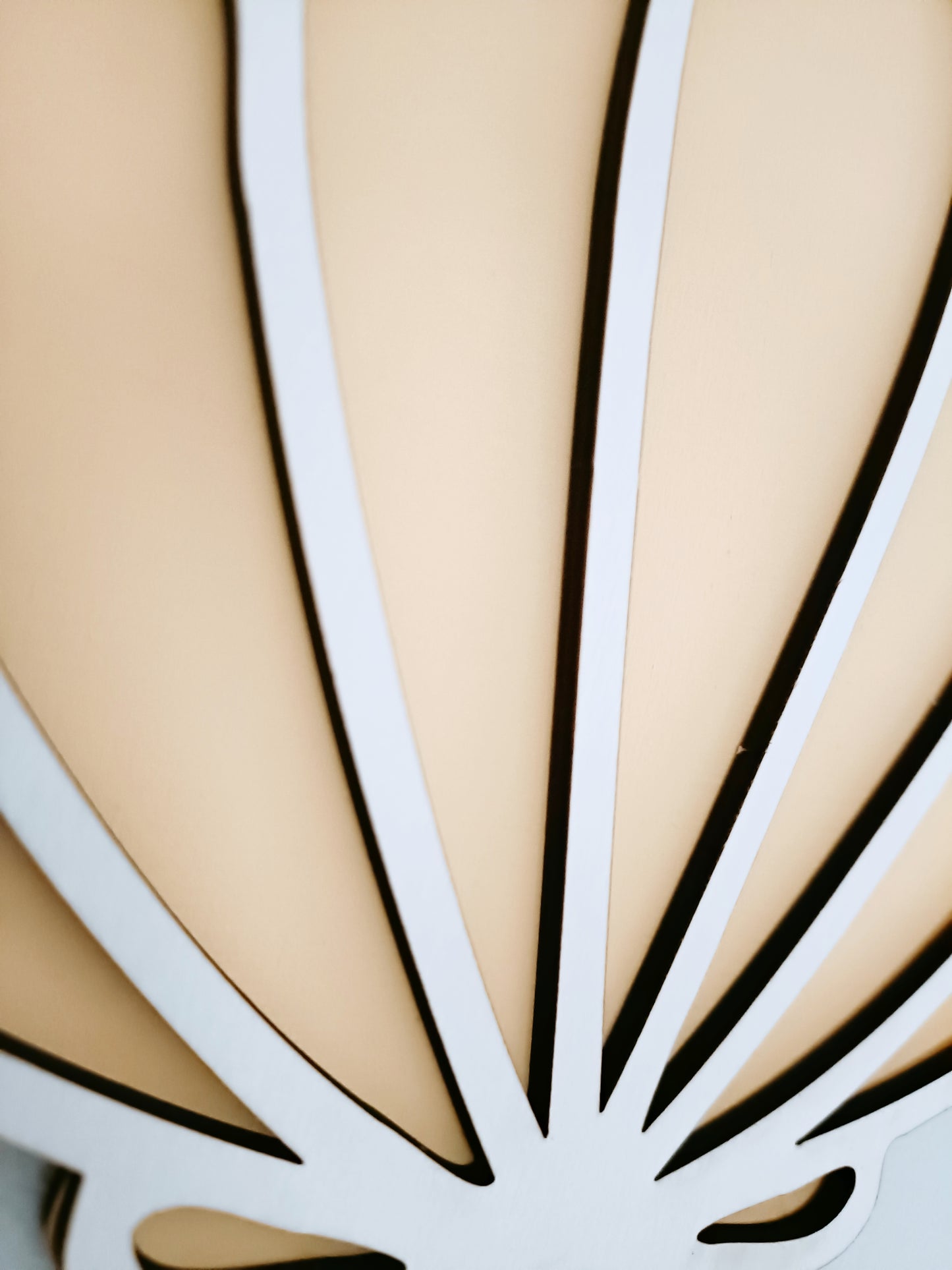 Bright Seashells - pack of 3