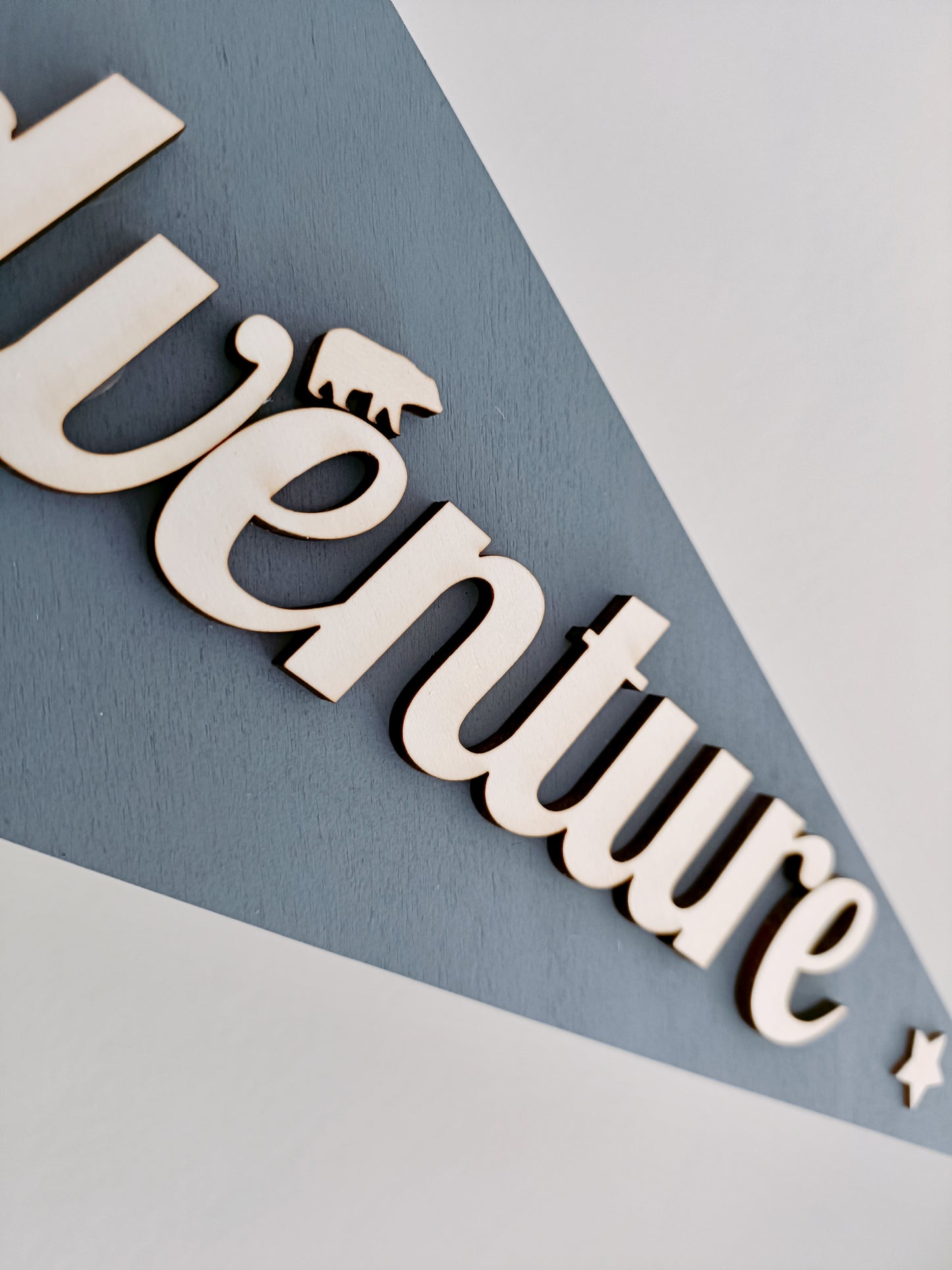 Adventure Pennant Flag