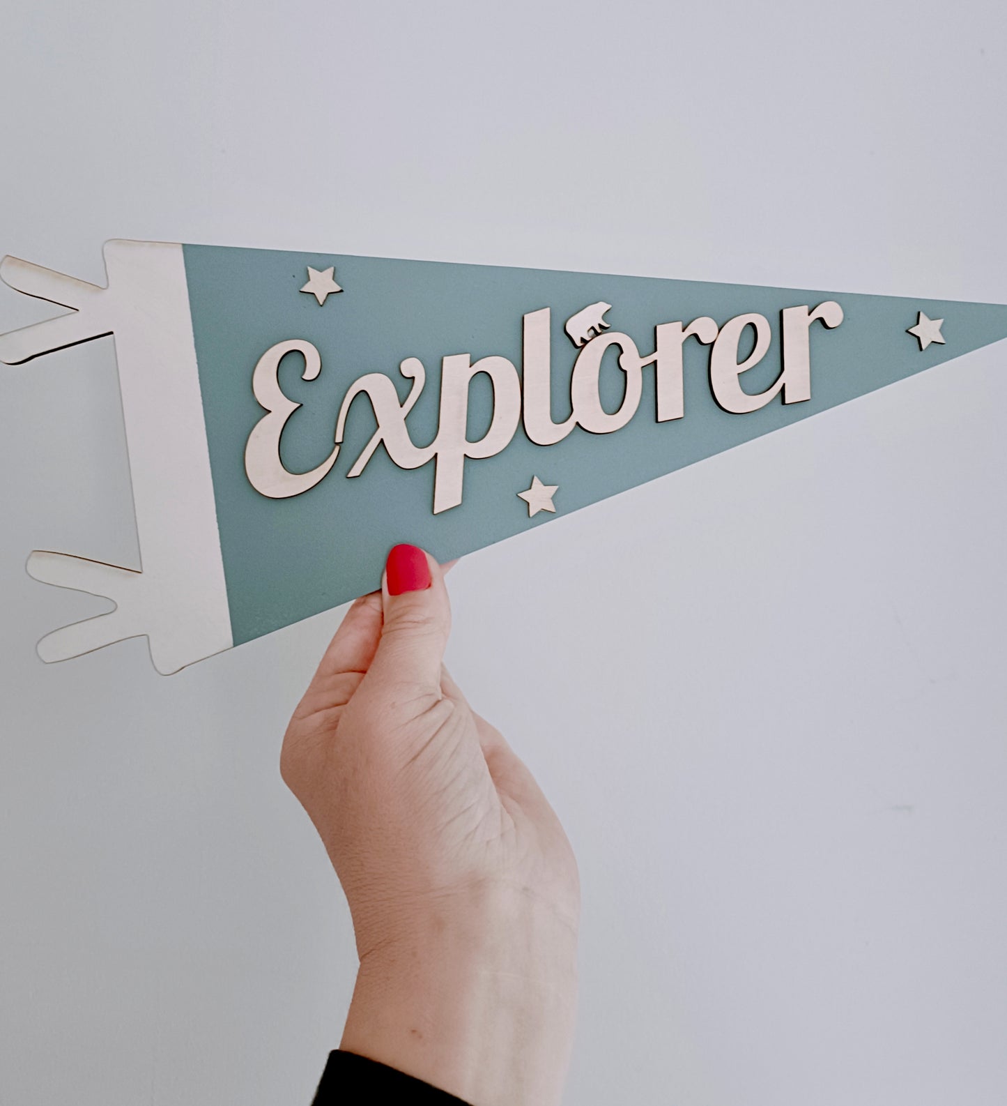 Explorer Pennant Flag