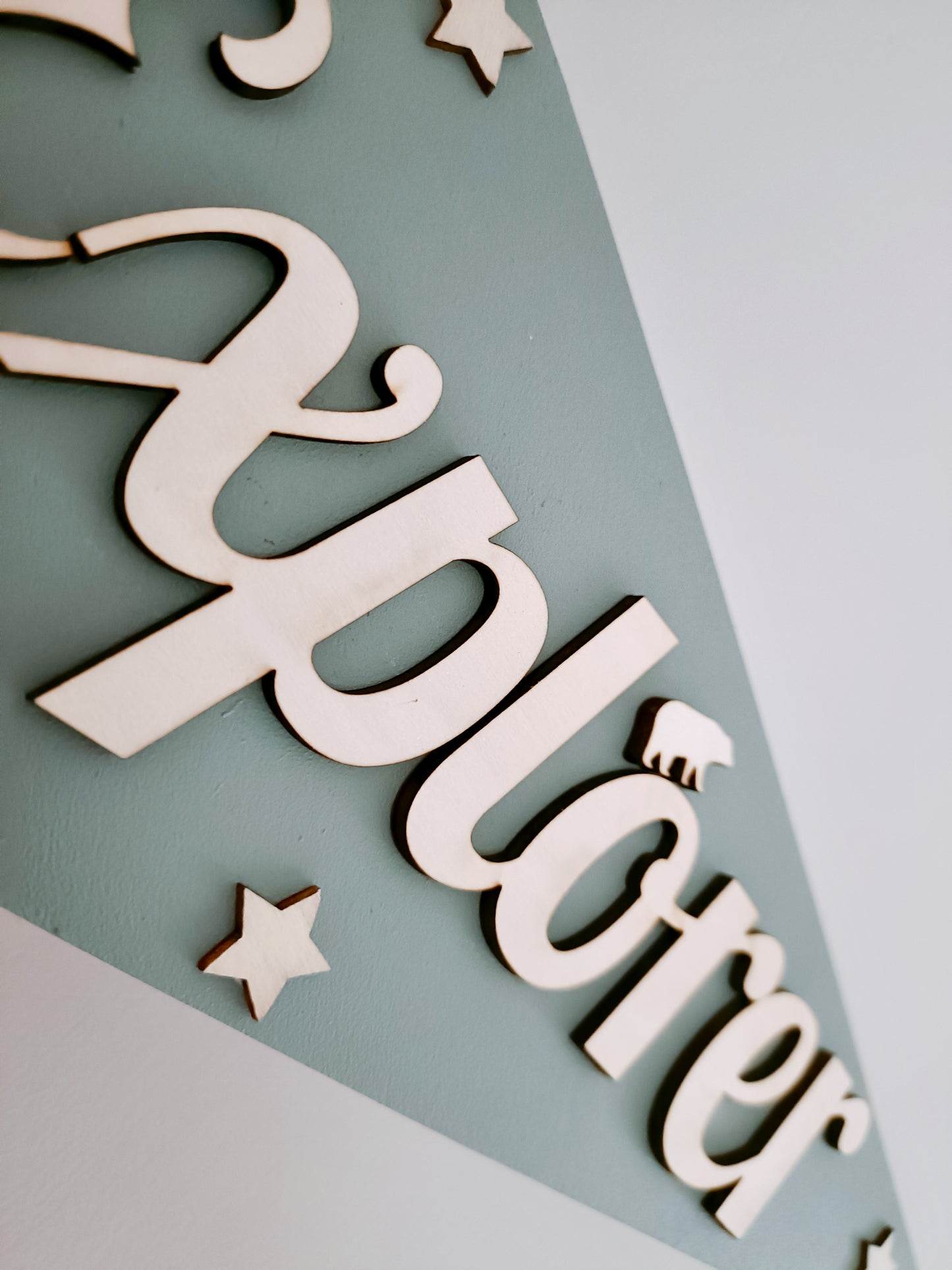 Explorer Pennant Flag