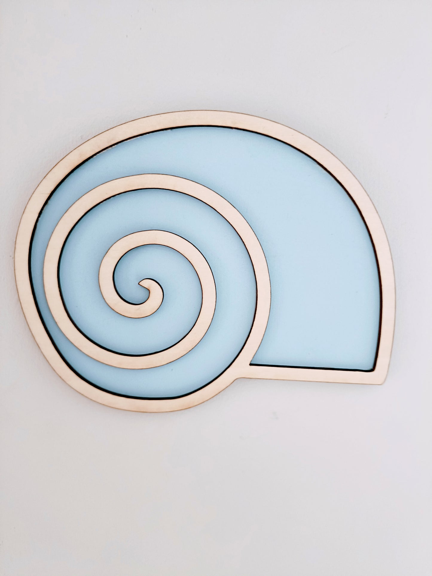 Pastel Seashells - pack of 3