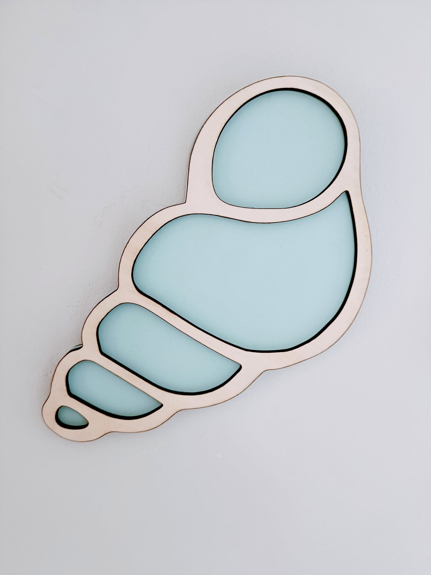 Pastel Seashells - pack of 3